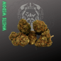 WHITE WIDOW INDOOR WHITE WIDOW INDOOR