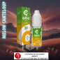 MELON CANTALOUP 10ML