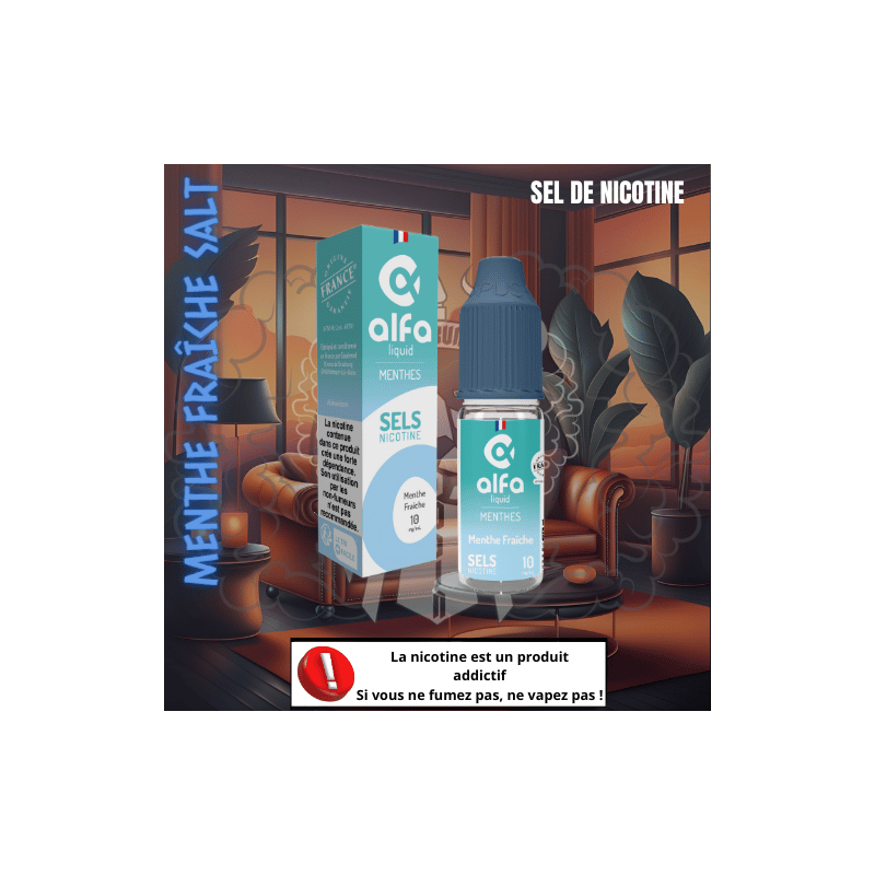 MENTHE FRAICHE 10ML SELS DE NICOTINE