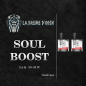 CARTOUCHES SOUL BOOST VERSION