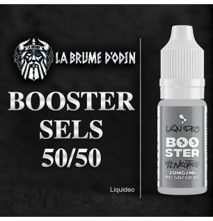 BOOSTER SEL DE NICOTINE