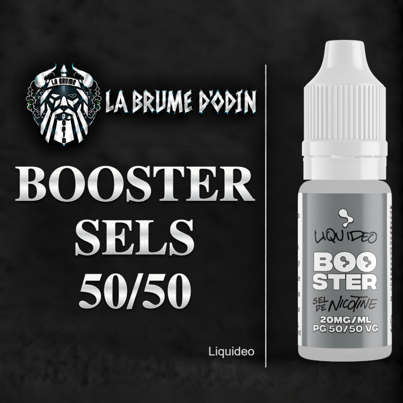 BOOSTER SEL DE NICOTINE