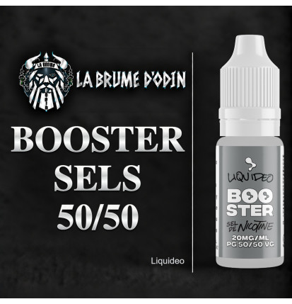 BOOSTER SEL DE NICOTINE