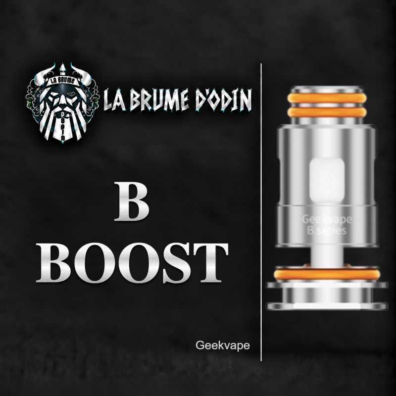 RESISTANCES B BOOST GEEKVAPE RESISTANCES B BOOST GEEKVAPE