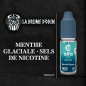 MENTHE GLACIALE 10ML SELS DE NICOTINE