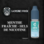MENTHE FRAICHE SELS DE NICOTINE MENTHE FRAICHE SELS DE NICOTINE