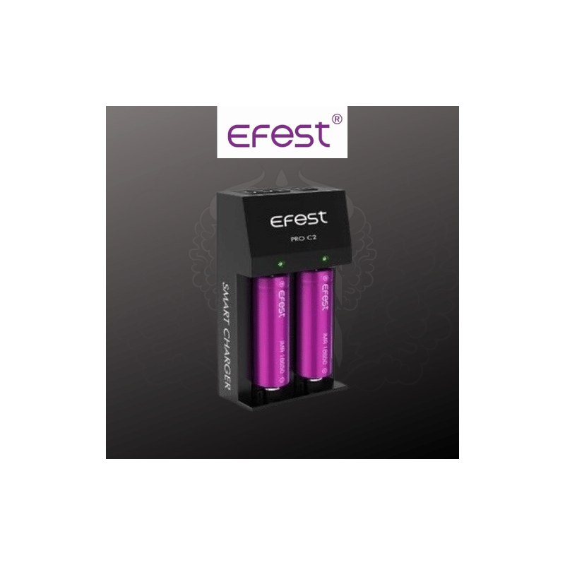 CHARGEUR PRO C2 EFEST