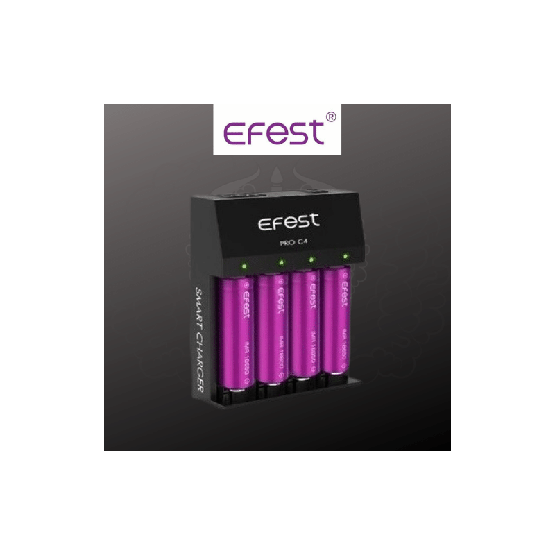 CHARGEUR PRO C4 CHARGEUR PRO C4